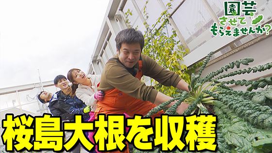 次回画像