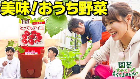 次回画像