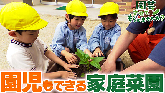 次回画像
