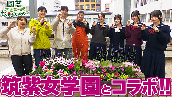 次回画像