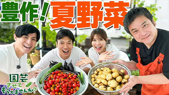 次回画像